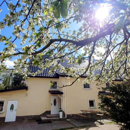 Gosciniec Jas -Sniadania I Obiadokolacje Szwedzki Stol W Cenie Bezplatny Parking Szklarska Poreba Extérieur photo
